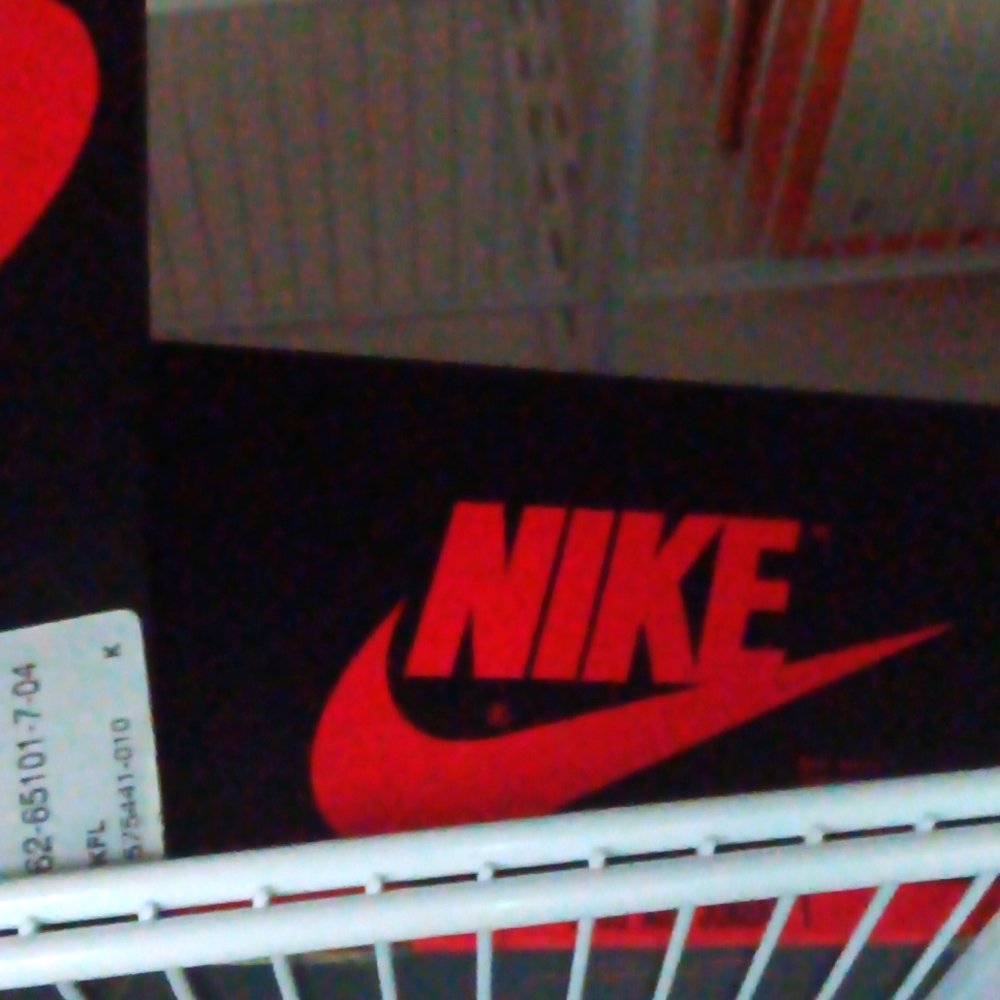 Nike jordan dunk low brand new